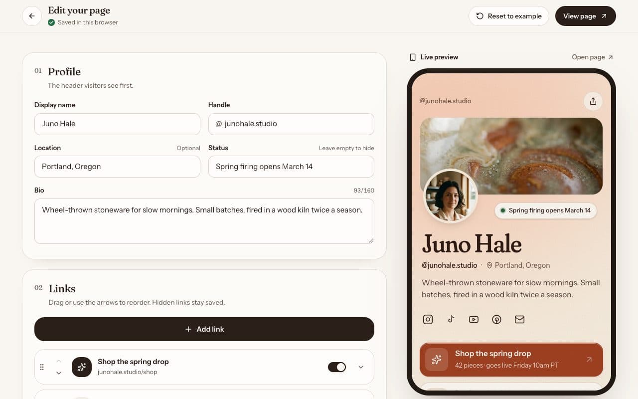 Link in Bio Page template preview, web