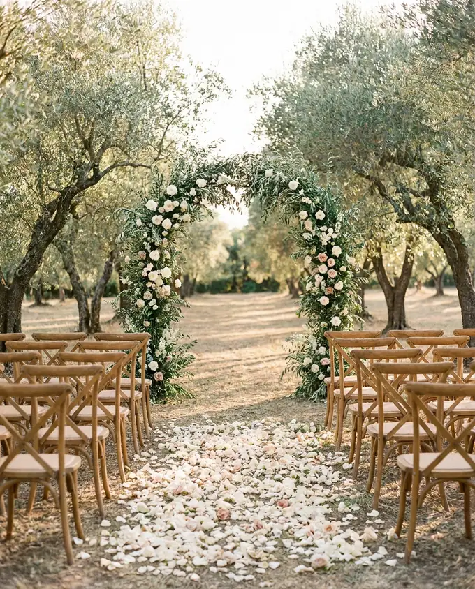 The ceremony aisle in the olive grove